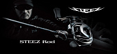 Spinnen DAIWA STEEZ (CASTING)