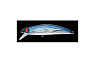 Wobbler APIA BAGRATION